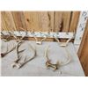 Image 2 : 9 Sets Of Whitetail Antlers On Skull Plate