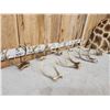 Image 4 : 9 Sets Of Whitetail Antlers On Skull Plate