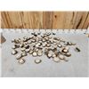 Image 1 : 18.8 Lbs Of Elk Antler Burrs