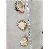 Image 3 : 18.8 Lbs Of Elk Antler Burrs