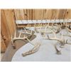 Image 7 : 24.4 Lbs Of Whitetail Antlers
