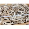 Image 3 : 27 Lbs Of Elk Antler Slabs