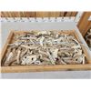 Image 1 : 24.7 Lbs Of Elk Antler Slabs