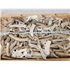 Image 3 : 24.7 Lbs Of Elk Antler Slabs