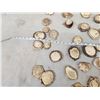 Image 2 : 11.6 Lbs Of Elk Shed Antler Burrs