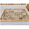 Image 1 : 17 Lbs Of Elk & Deer Antler Tips