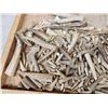 Image 2 : 17 Lbs Of Elk & Deer Antler Tips