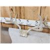 Image 5 : 4 Sets Of Whitetail Antlers On Skull Plate