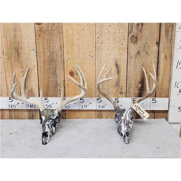 2 Sets Of Whitetail Antlers On Hydro Dipped Skulls
