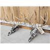 Image 2 : 2 Sets Of Whitetail Antlers On Hydro Dipped Skulls