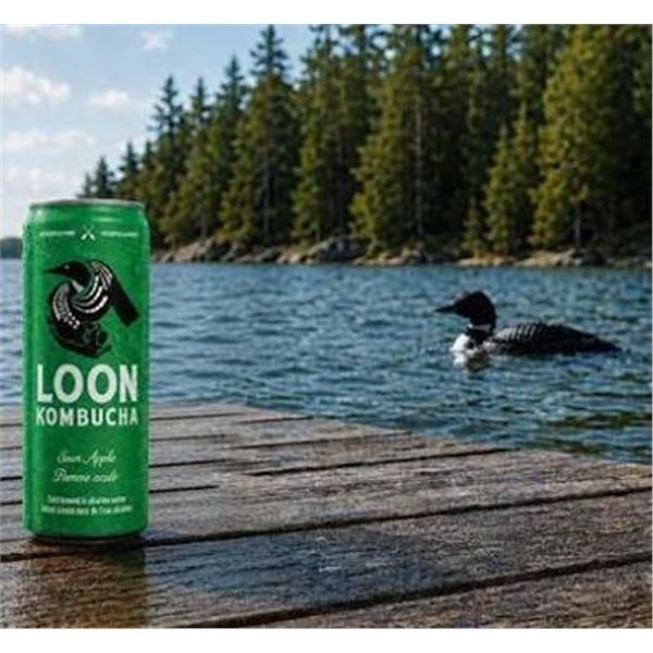 Loon Kombucha Sour Apple 12X355ml