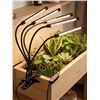 Image 1 : Otryad Grow Lights for Succulent, 2 Pack