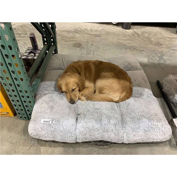 Gray Plush Pet Bed 42" x 42"