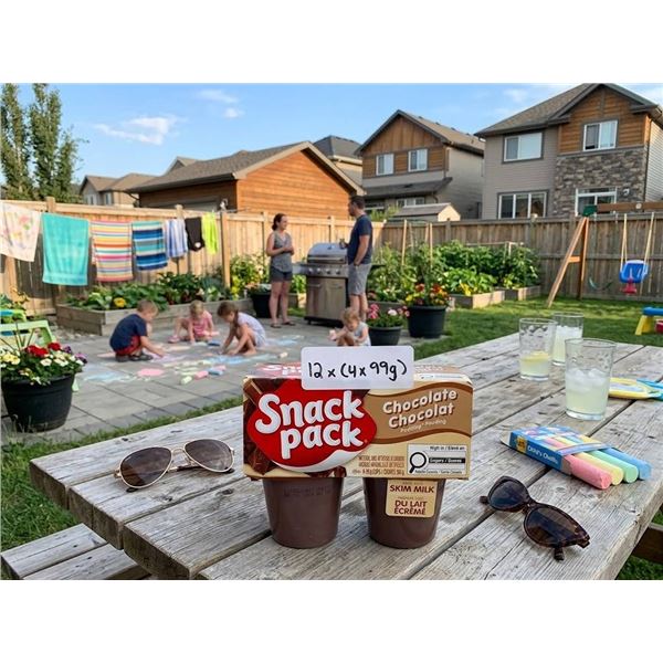Snack Pack Chocolate Pudding 12 Pack