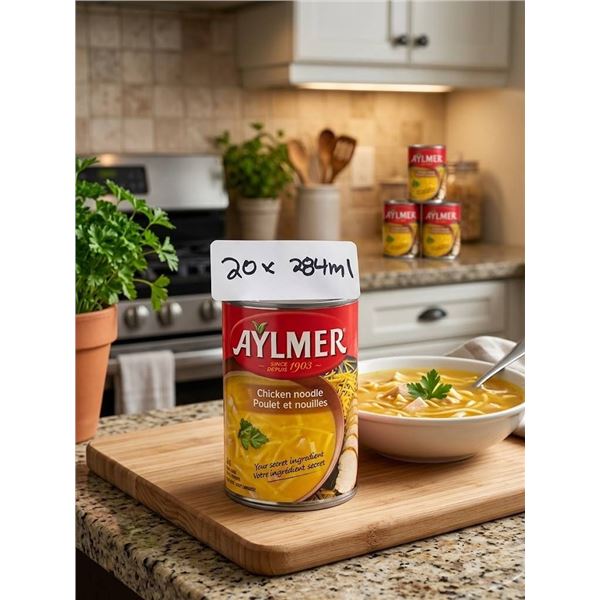 Aylmer Chicken Noodle Soup 284ml, 20 Cans