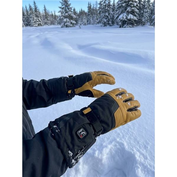 Hestra Leather and Fabric Ski Gloves, M
