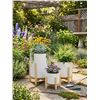 Image 1 : Three Ceramic Planters with Wooden Stands