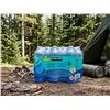 Image 1 : Kirkland Ionized Alkaline Water 18-Pack x 1L