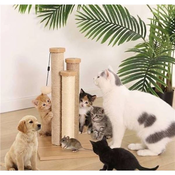 Amazon Basics Cat Tree Scratching Post