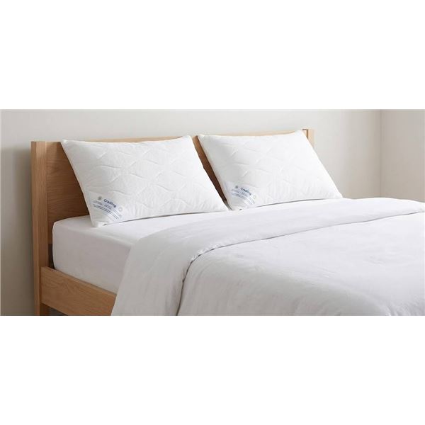 Below Zero Queen Cooling Pillows, 2 Pack