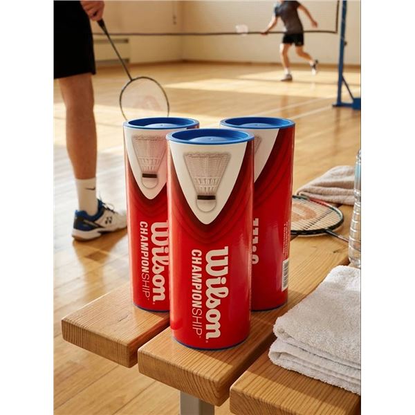 Wilson Championship 3 Cans