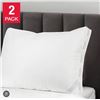 Image 1 : Roots Home Set of 2 Bed Pillows