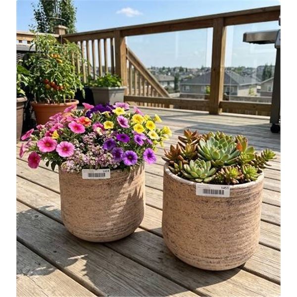 2 Textured Ceramic Planters, 8.5â€