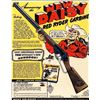 Image 2 : Daisy Red Ryder Carbine BB Gun
