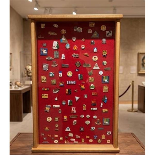 Dual Sided Rotating Pin Display Case 16" x 24