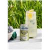 Image 1 : Fever-Tree Ginger Beer 3 x (8 x 150ml) Cans