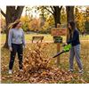 Image 1 : Greenworks Pro 80V 640CFM Blower/Vac Tool