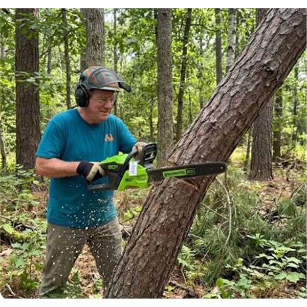 Greenworks Pro 80V 18-Inch Chainsaw