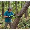 Image 1 : Greenworks Pro 80V 18-Inch Chainsaw
