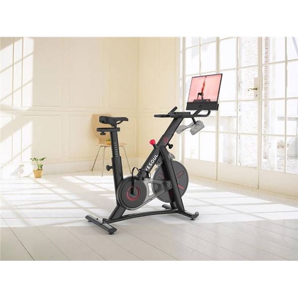YESOUL Exercise Bike With Monitor