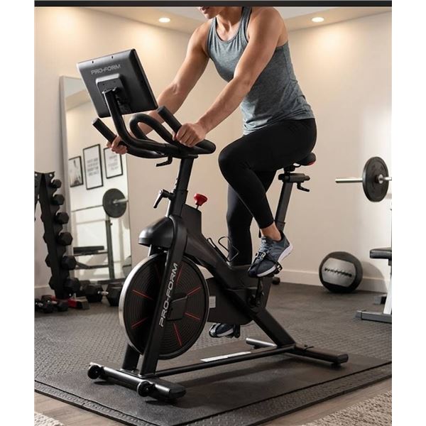 ProForm Indoor Exercise Spin Bike