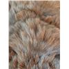 Image 5 : Brown Bear Rug Mount with Head, Approx 5 Feet Long