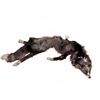 Image 2 : Fox Shrug - Dark Phase Fox Fur Stole with Clasp Closure