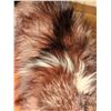 Image 5 : Fox Shrug - Dark Phase Fox Fur Stole with Clasp Closure
