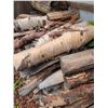 Image 2 : Stacked Covered Firewood Logs and Kindling Pile