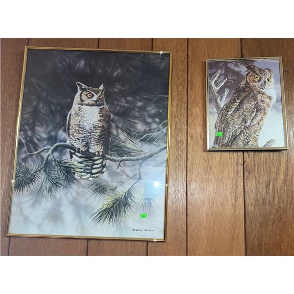 Bradley Jackson Owl Art Prints, Set of 2, Framed