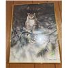Image 2 : Bradley Jackson Owl Art Prints, Set of 2, Framed