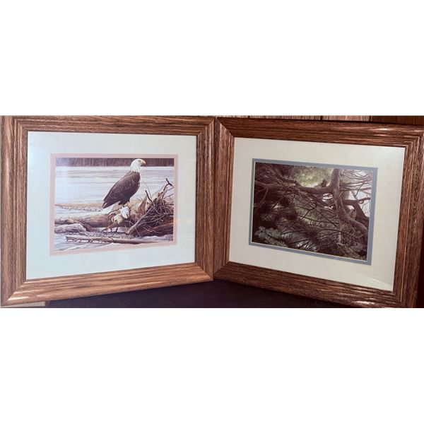 Framed Wildlife Art Prints Featuring Bald Eagle and Forest Scene
