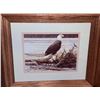 Image 2 : Framed Wildlife Art Prints Featuring Bald Eagle and Forest Scene