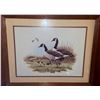 Image 1 : Framed Print of Canada Geese with Goslings