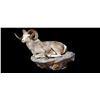 Image 1 : Stone Sheep Full Body Mount