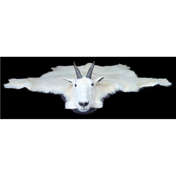 Mountain Goat Rug Mount