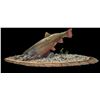 Image 1 : Rainbow Trout Mount