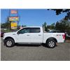 Image 15 : DUNCAN - 2017 FORD F-150 WHITE 223860 KMS - D22273-3