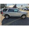 Image 8 : DUNCAN - 2008 FORD ESCAPE WHITE  238988 KMS - A11018-3