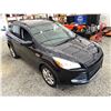 Image 10 : PARKSVILLE - 2014 FORD ESCAPE BLACK 74519 KMS - D74310-3A